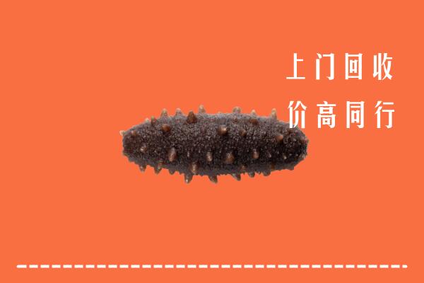 泸州合江县回收海参